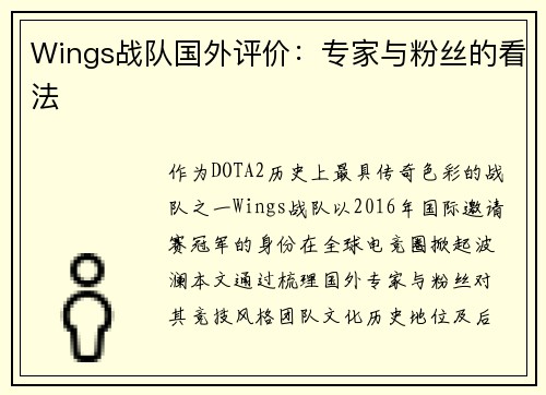 Wings战队国外评价：专家与粉丝的看法