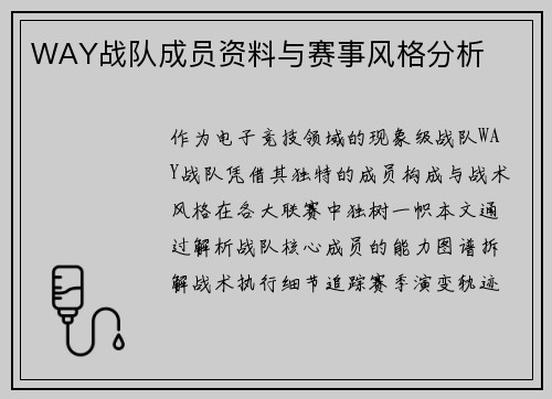 WAY战队成员资料与赛事风格分析