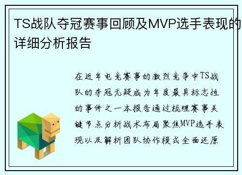 TS战队夺冠赛事回顾及MVP选手表现的详细分析报告
